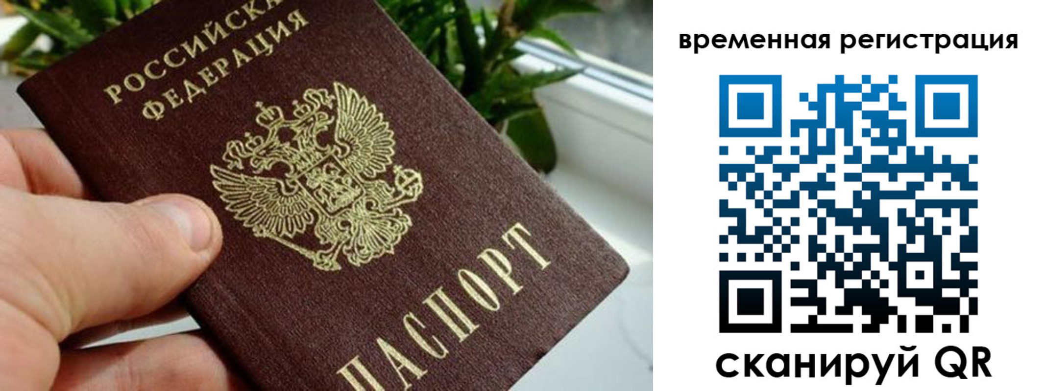 прописка поиск в Ефремове